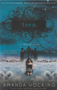 Image of Torn